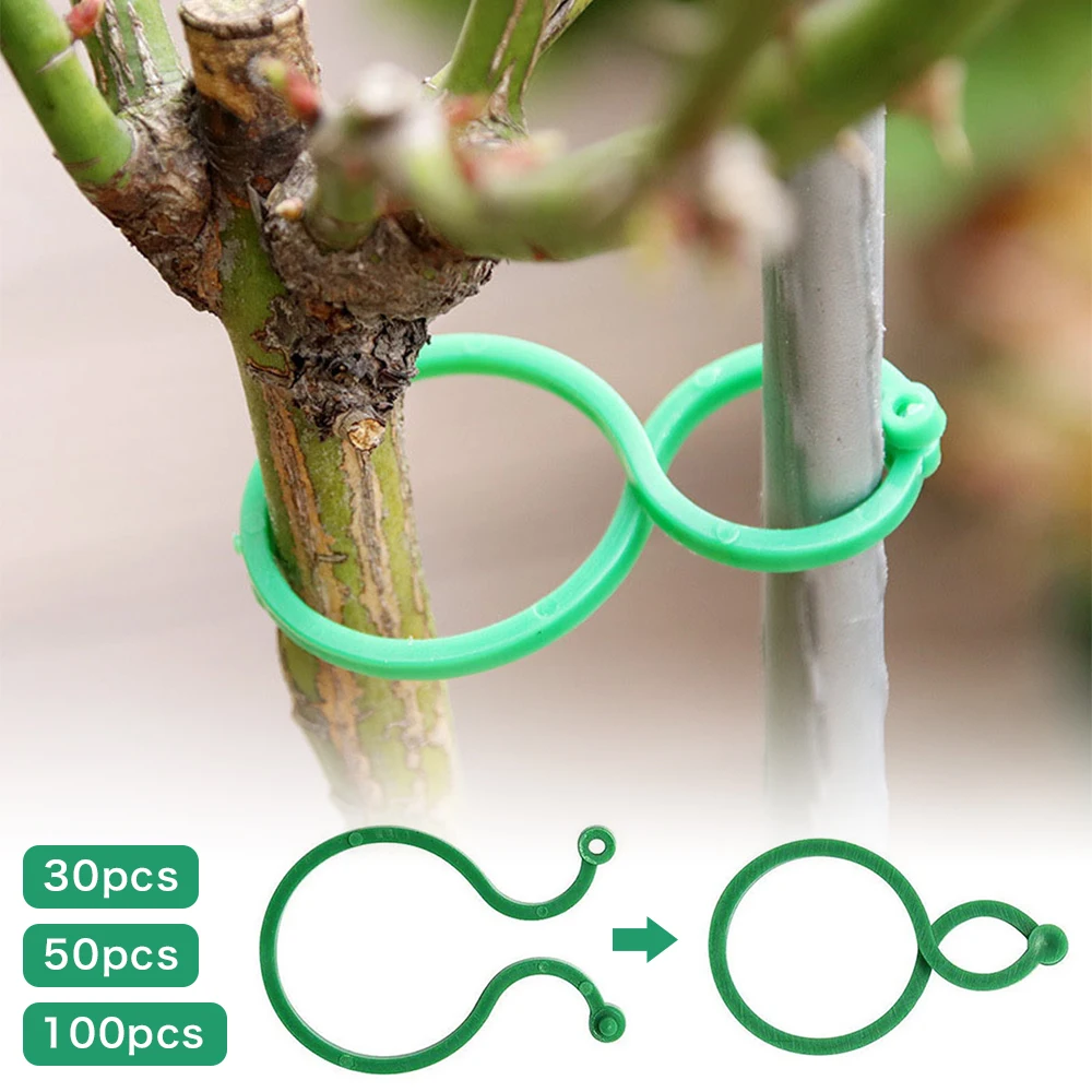 30/50/100pcs Garden Plant Holder Trellis Clips For Vine Vegetable Tomato Growing Upright Garden Plant Stand Tool Plant Holder
30/50/100pcs Garden Plant Holder Trellis Clips For Vine Vegetable Tomato Growing Upright Garden Plant Stand Tool Plant Holder