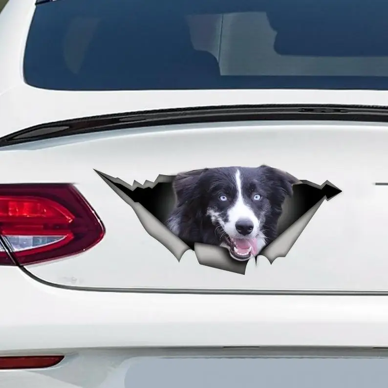 Black and white Aussie car decal, Aussie magnet, Aussie decal, Australian shepherd
Black and white Aussie car decal, Aussie magnet, Aussie decal, Australian shepherd