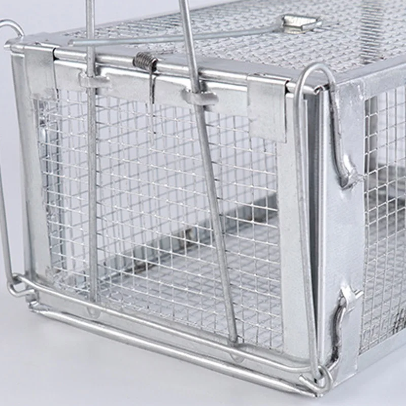 Rat Trap Live Chipmunk Mouse Cage Trap Bait Rodent Repeller Catch for Indoor Outdoor Promotion
Rat Trap Live Chipmunk Mouse Cage Trap Bait Rodent Repeller Catch for Indoor Outdoor Promotion