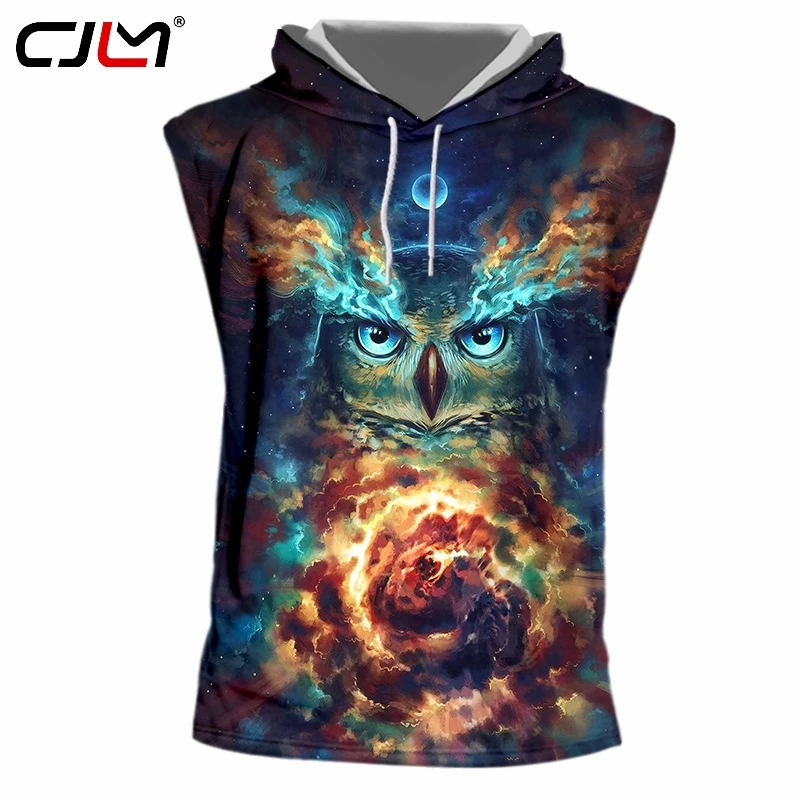 CJLM 2019 Factory Direct Supply Original Sample Design 3D Owl Print Hooded Tank Top Oversized Vest Wholesale
CJLM 2019 Factory Direct Supply Original Sample Design 3D Owl Print Hooded Tank Top Oversized Vest Wholesale