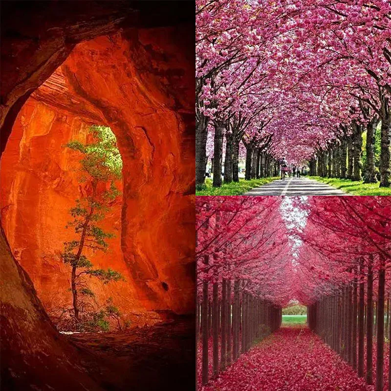 Diamond Painting 5D Diamonds DIY Scenery Cross Stitch Full Square Drill Embroidery Colorful Handmade Home Room Wall Decor 
Diamond Painting 5D Diamonds DIY Scenery Cross Stitch Full Square Drill Embroidery Colorful Handmade Home Room Wall Decor