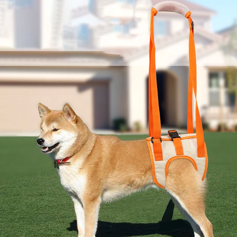Dog Hind Leg Auxiliary Belt Postoperative Rehabilitation Belt For Recovery Disability Leg Brace Help Walking Harness
Dog Hind Leg Auxiliary Belt Postoperative Rehabilitation Belt For Recovery Disability Leg Brace Help Walking Harness