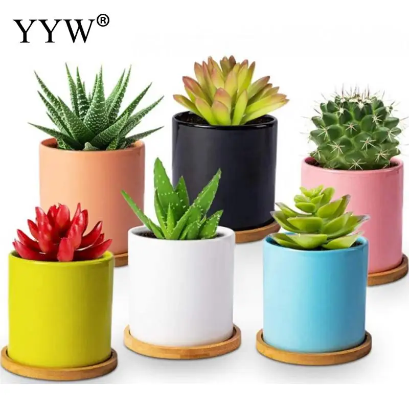 6pcs/Lot Nordic Ceramic Succulents Flower Pots Desktop Balcony Creative Decoration Desktop Green Plants Potted Ornaments
6pcs/Lot Nordic Ceramic Succulents Flower Pots Desktop Balcony Creative Decoration Desktop Green Plants Potted Ornaments