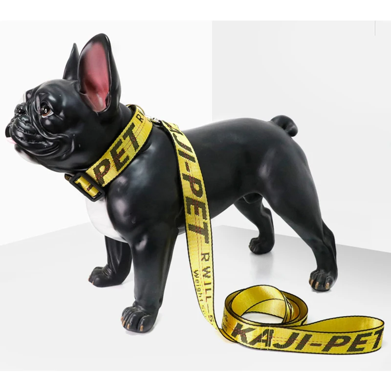 Fashion Nylon Dog Collar Leash Durable Gold Chain Collar Perro Collars For Dog Pet Leash Lettered Grande Pet Dog Collar Harness
Fashion Nylon Dog Collar Leash Durable Gold Chain Collar Perro Collars For Dog Pet Leash Lettered Grande Pet Dog Collar Harness