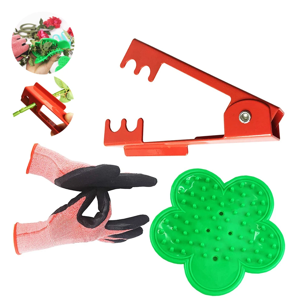 Plant Trim Horticulture Pruner Cut Rose Leaf Thorn Stripping Garden Plant Tools Thorn Stripper Handy Foliage Remover Gloves 3PCS
Plant Trim Horticulture Pruner Cut Rose Leaf Thorn Stripping Garden Plant Tools Thorn Stripper Handy Foliage Remover Gloves 3PCS
