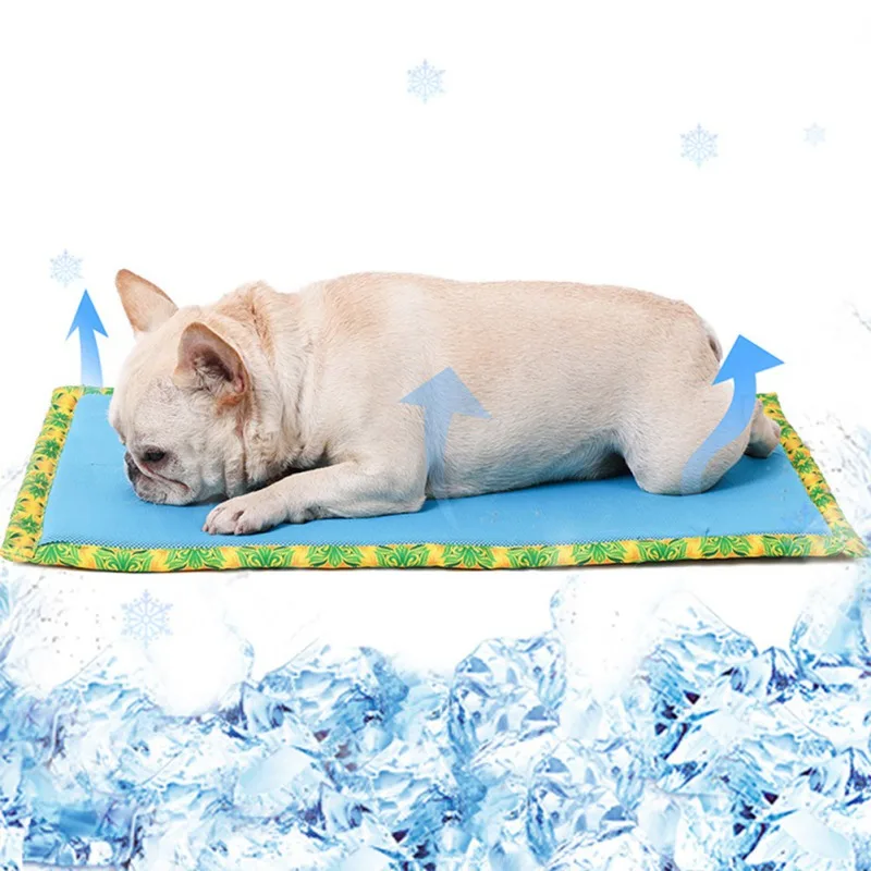Dog Cooling Mat Pet Ice Pad Bed Teddy Mattress Pet Cool Mat Bed Cat Cushion Summer Keep Cool Pet Cooling Dog Mat For Dogs
Dog Cooling Mat Pet Ice Pad Bed Teddy Mattress Pet Cool Mat Bed Cat Cushion Summer Keep Cool Pet Cooling Dog Mat For Dogs
