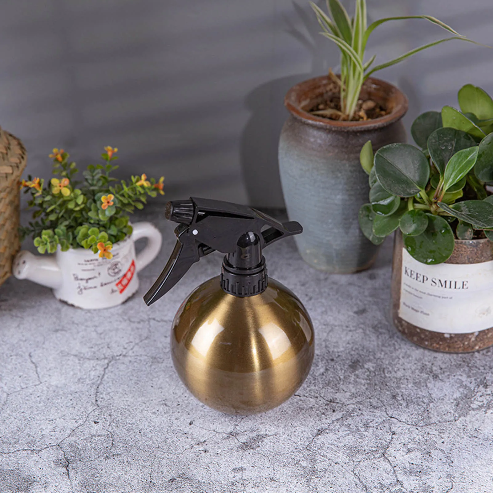 Hot Sale Plant Mister Spray Bottle Succulent Watering Bottle Can Sprayer Garden Plant Watering Bottle Gardening Tools
Hot Sale Plant Mister Spray Bottle Succulent Watering Bottle Can Sprayer Garden Plant Watering Bottle Gardening Tools
