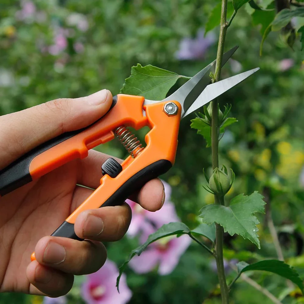 Garden Shears Multitool Straight Garden Pruning Shears Non-slip And Labor-saving Secateur Shrub Garden Scissor Tool
Garden Shears Multitool Straight Garden Pruning Shears Non-slip And Labor-saving Secateur Shrub Garden Scissor Tool