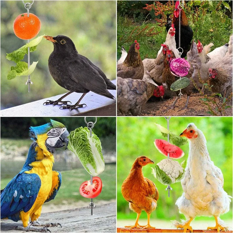 6Pack Chicken Veggies Skewer Fruit Holder for Hens Pet Chicken Vegetable Hanging Feeder Toy for Hens Large Birds- Silver
6Pack Chicken Veggies Skewer Fruit Holder for Hens Pet Chicken Vegetable Hanging Feeder Toy for Hens Large Birds- Silver