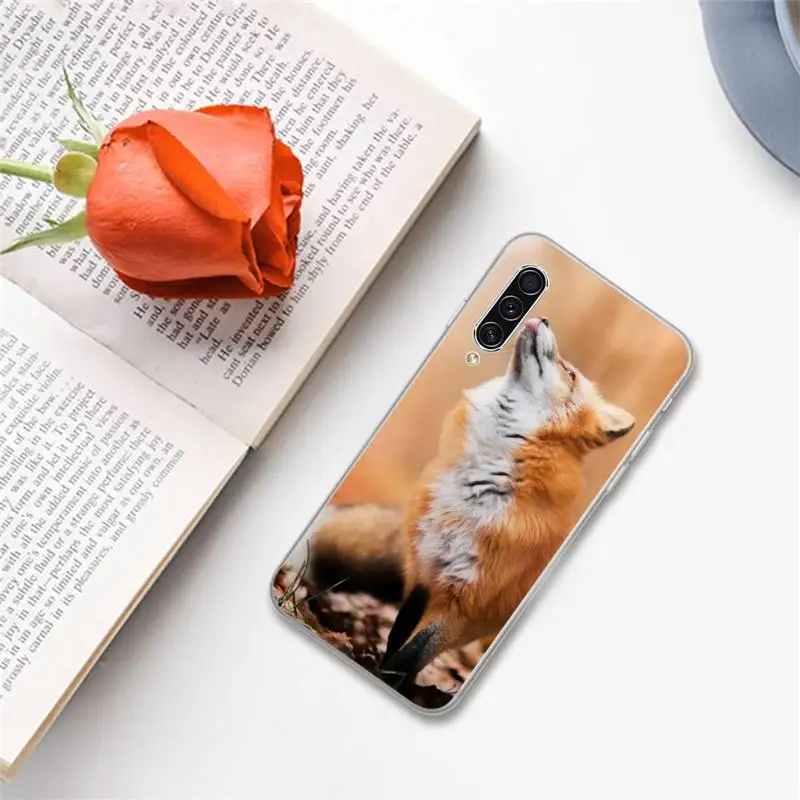 Fox cute animal Phone Case For Samsung A S M Note 9 10 20 fe 21 71 30 ultra plus 5g 11 31 51 s
Fox cute animal Phone Case For Samsung A S M Note 9 10 20 fe 21 71 30 ultra plus 5g 11 31 51 s