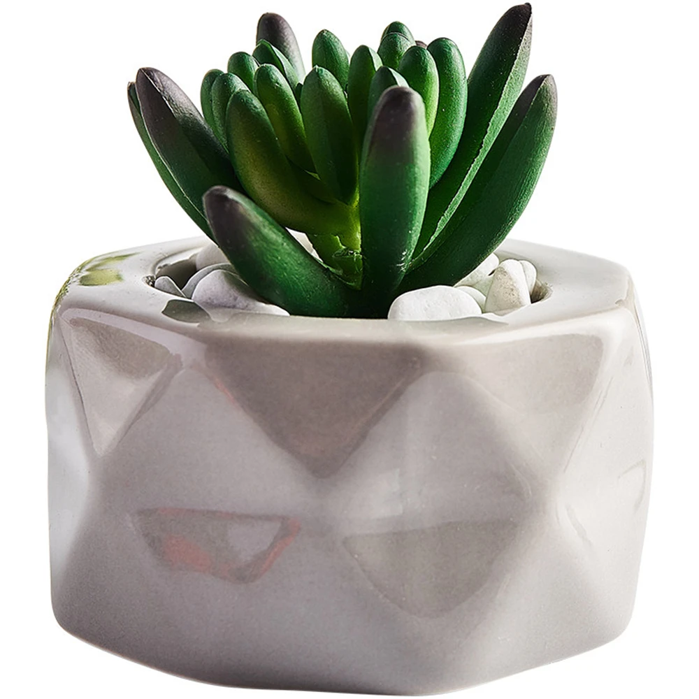 B-LIFE Artificial Succulent Plants Bonsai with Pot Assorted Decorative Faux Succulent Potted Fake Cactus Cacti Plants Ceramic
B-LIFE Artificial Succulent Plants Bonsai with Pot Assorted Decorative Faux Succulent Potted Fake Cactus Cacti Plants Ceramic