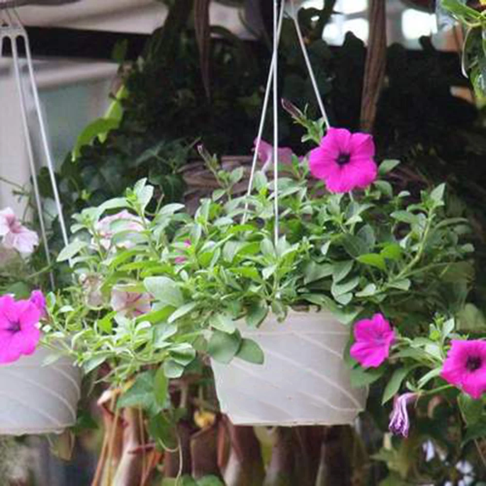 Plant Hanger Durable Flowerpot Holder Hanging Flower Basket Hook Hanger Plastic Hanging Planter Home Garden Balcony Decoration
Plant Hanger Durable Flowerpot Holder Hanging Flower Basket Hook Hanger Plastic Hanging Planter Home Garden Balcony Decoration