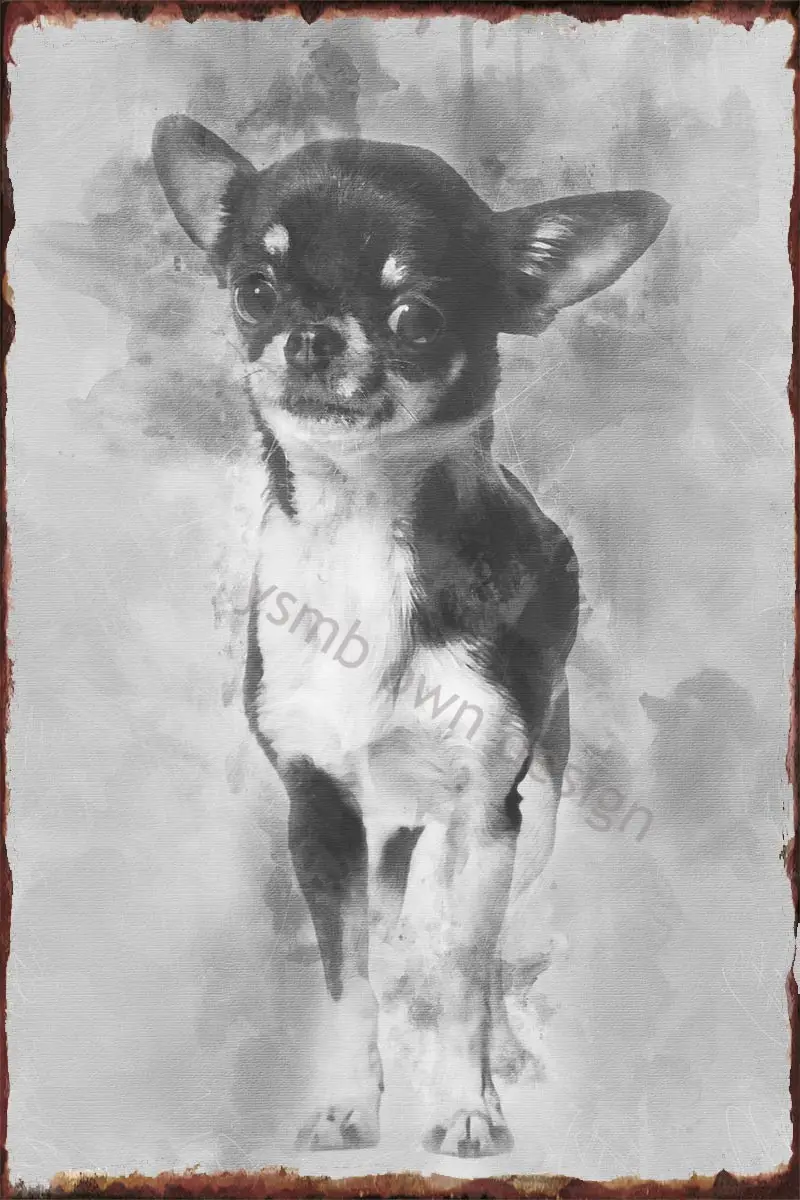 Жестяная Табличка в стиле ретро для чихуахуа, 3 года
Жестяная Табличка в стиле ретро для чихуахуа, 3 года