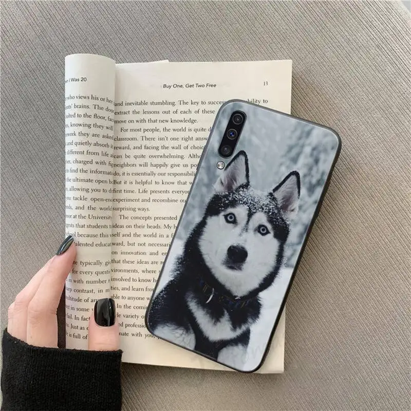 Husky Dog animal high quality Phone Case For Samsung galaxy S 9 10 20 A 10 21 30 31 40 50 51 71 s note 20 j 4 2018 plus 
Husky Dog animal high quality Phone Case For Samsung galaxy S 9 10 20 A 10 21 30 31 40 50 51 71 s note 20 j 4 2018 plus