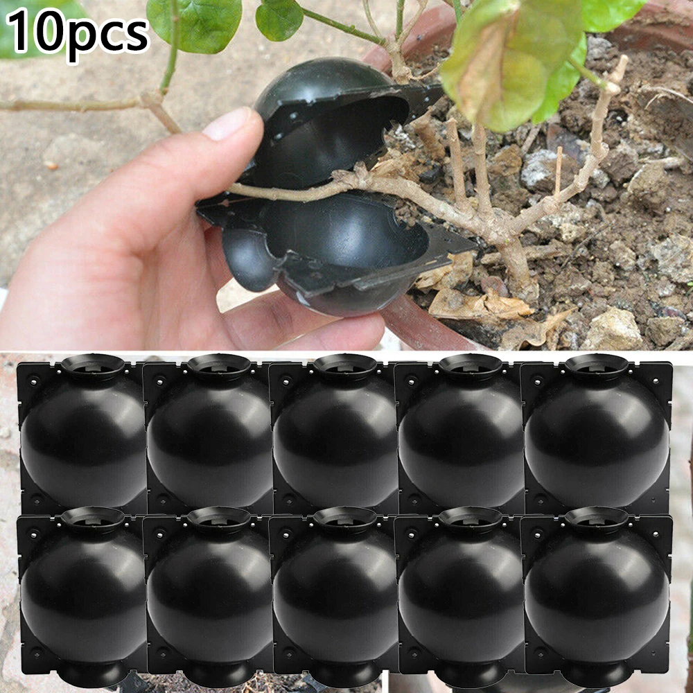 10pc Plant Rooting Ball Grafting Rooting Growing Box Breeding Case Plant Rooting Device Equipment High Pressure Propagation Ball
10pc Plant Rooting Ball Grafting Rooting Growing Box Breeding Case Plant Rooting Device Equipment High Pressure Propagation Ball