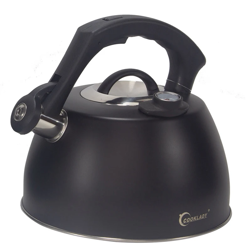 Stainless Steel Thermometer Household Universal Large Capacity Solid Kitchen Whistle Kettle Art Hervidor De Agua Water Kettle
Stainless Steel Thermometer Household Universal Large Capacity Solid Kitchen Whistle Kettle Art Hervidor De Agua Water Kettle