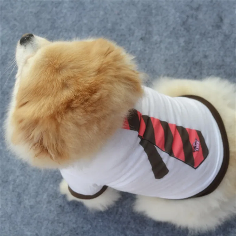 College Tie Design Cute Puppy Clothes Comfortable Cotton Teddy Bear Dog Clothes for Pitbulls Cheap Dog Clothes for Small Dogs
College Tie Design Cute Puppy Clothes Comfortable Cotton Teddy Bear Dog Clothes for Pitbulls Cheap Dog Clothes for Small Dogs