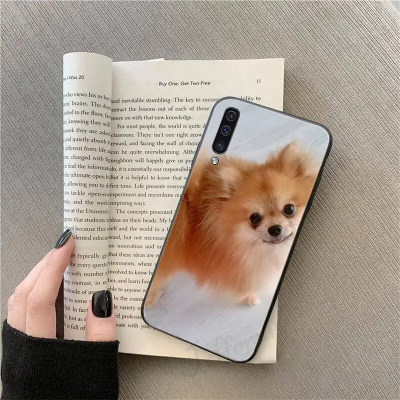 Pomeranian dog funny painting shell Phone Case For Samsung galaxy S 9 10 20 A 10 21 30 31 40 50 51 71 s note 20 j 4 2018 plus 
Pomeranian dog funny painting shell Phone Case For Samsung galaxy S 9 10 20 A 10 21 30 31 40 50 51 71 s note 20 j 4 2018 plus