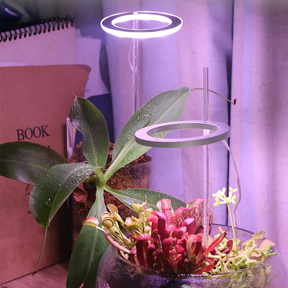 LED Grow Light Full Spectrum Phyto Grow Lamp USB Phytolamp For Plants 5V Lamp For Plants Growth Lighting For Indoor Plant
LED Grow Light Full Spectrum Phyto Grow Lamp USB Phytolamp For Plants 5V Lamp For Plants Growth Lighting For Indoor Plant