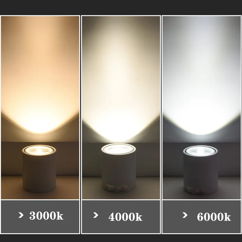 Dimmable Led COB Ceiling LED downlight 7W 12W 20W 110/220V cold /Warm white surface mounted Indoor Lighting
Dimmable Led COB Ceiling LED downlight 7W 12W 20W 110/220V cold /Warm white surface mounted Indoor Lighting
