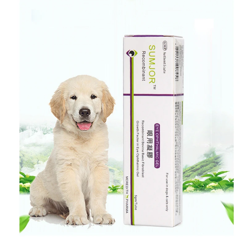 Shu Meijie Eye Gel Pet Cats Dogs Eye Drops Conjunctivitis Keratitis Eye Cream Kangyan Antibacterial Inflammation
Shu Meijie Eye Gel Pet Cats Dogs Eye Drops Conjunctivitis Keratitis Eye Cream Kangyan Antibacterial Inflammation