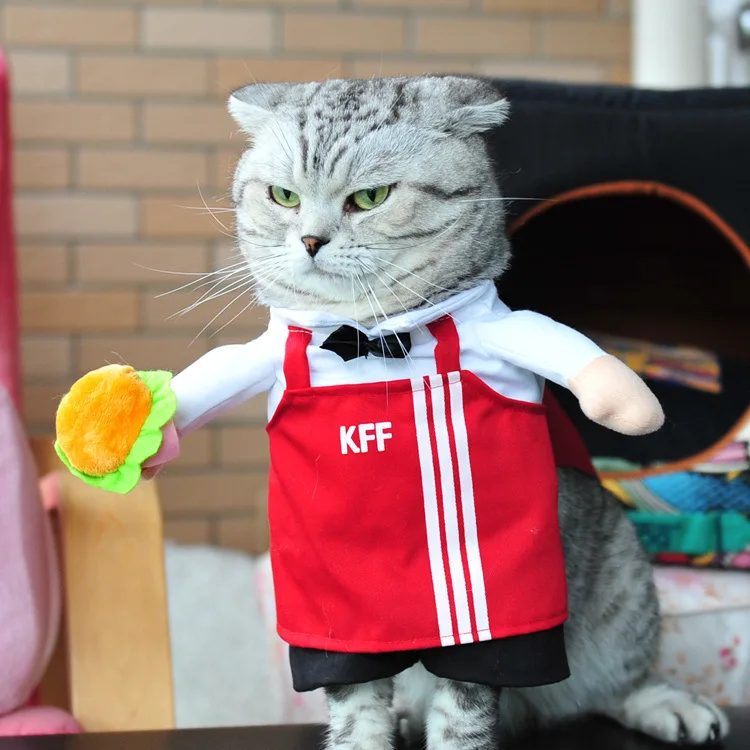 Spring and autumn pet cat costumes cute funny funny costumes funny cats and dogs clothes standing transfiguration stereo
Spring and autumn pet cat costumes cute funny funny costumes funny cats and dogs clothes standing transfiguration stereo