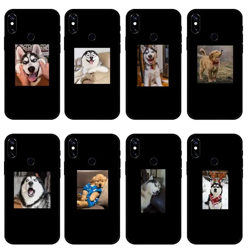Funny animal expression dog cat bird Phone Case For Xiaomi mi 9 9t 10 redmi 9 9a 8 8a note 10 9 9s 8 8t 7 pro max funda
Funny animal expression dog cat bird Phone Case For Xiaomi mi 9 9t 10 redmi 9 9a 8 8a note 10 9 9s 8 8t 7 pro max funda