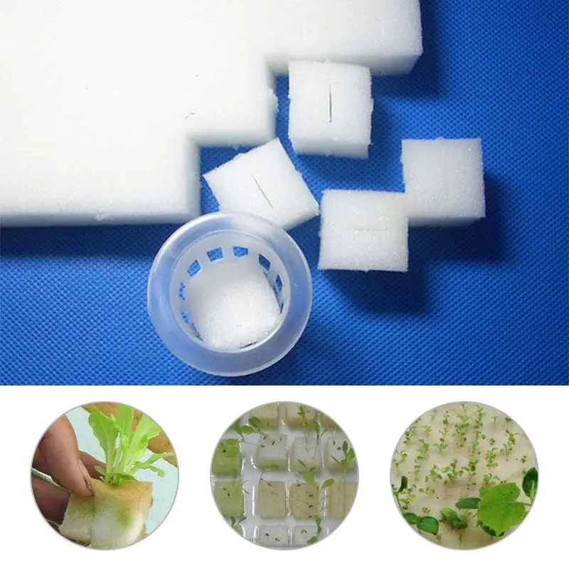 Nursery Sponge 100pcs White Vegetable Cultivation Agriculture Greenhouse Planting Hydroponics Cultivation Planting Sponge
Nursery Sponge 100pcs White Vegetable Cultivation Agriculture Greenhouse Planting Hydroponics Cultivation Planting Sponge
