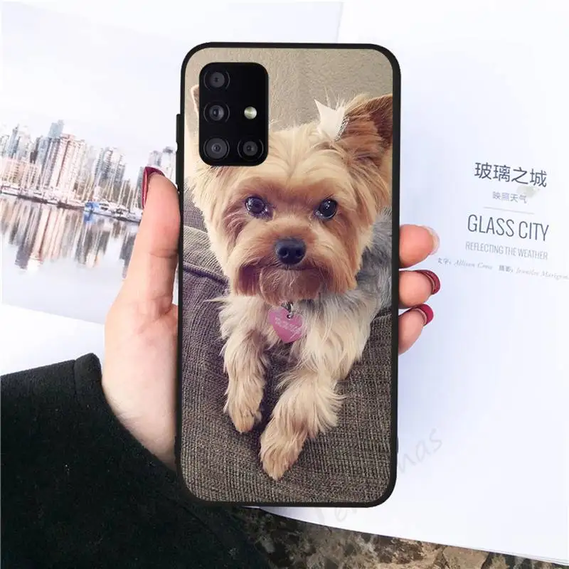 Mini Yorkshire Terrier Dog Phone Case black For Samsung galaxy S 21 20 10 8 A 51 71 50 21s 70 40 20 20e note 10 plus Ultra 5g fe
Mini Yorkshire Terrier Dog Phone Case black For Samsung galaxy S 21 20 10 8 A 51 71 50 21s 70 40 20 20e note 10 plus Ultra 5g fe