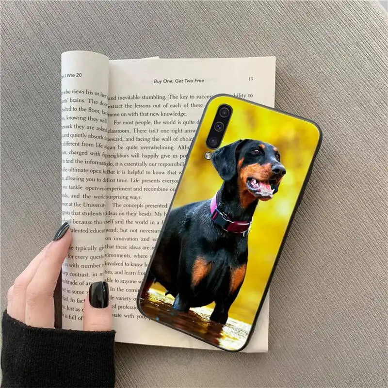 black Dachshund Doberman Dog Phone Case For Samsung galaxy S 9 10 20 A 10 21 30 31 40 50 51 71 s note 20 j 4 2018 plus
black Dachshund Doberman Dog Phone Case For Samsung galaxy S 9 10 20 A 10 21 30 31 40 50 51 71 s note 20 j 4 2018 plus