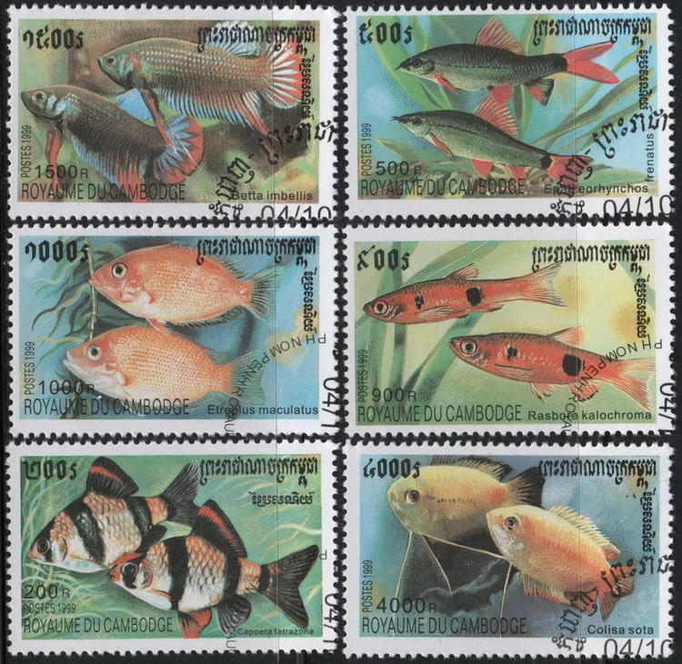 6 шт./компл. почтовые марки камбоджийской почты 1999, почтовые марки с тропическими декоративными рыбками для коллекционирования
6 шт./компл. почтовые марки камбоджийской почты 1999, почтовые марки с тропическими декоративными рыбками для коллекционирования
