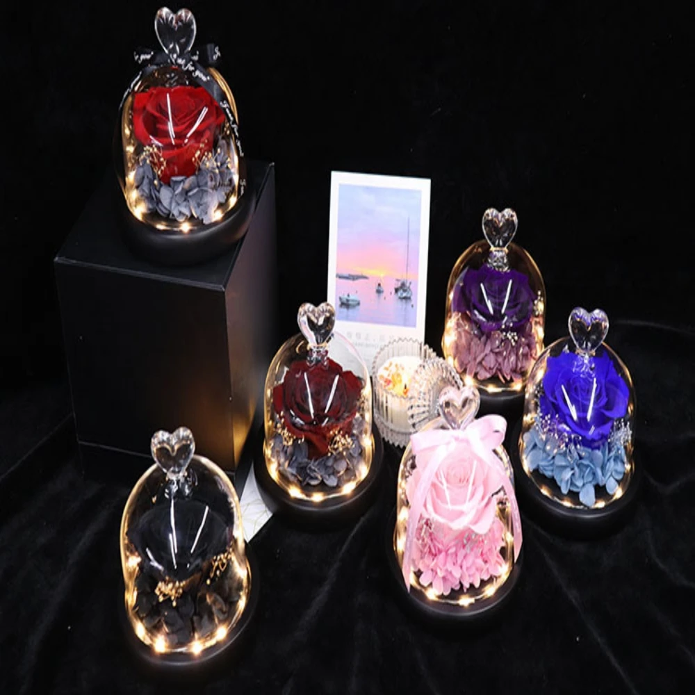Valentine's Day Gift Dried Flower Glass Dome Valentine's Day Eternal Real Rose Home Decor With Led For The Best Gift For Couples
Valentine's Day Gift Dried Flower Glass Dome Valentine's Day Eternal Real Rose Home Decor With Led For The Best Gift For Couples
