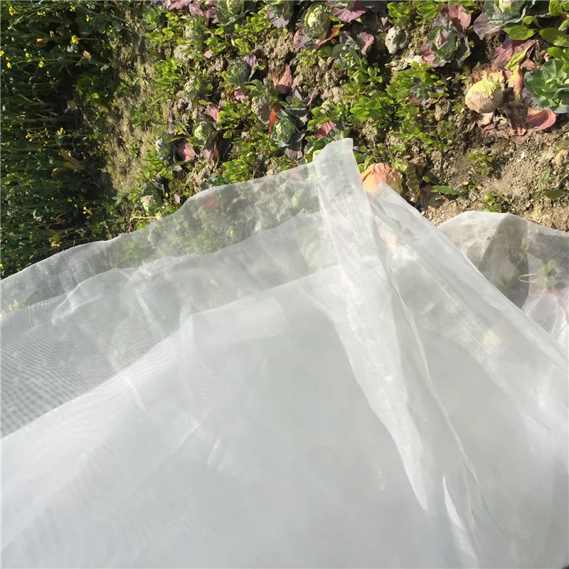 Greenhouse Protective Net Fruit Vegetables Care Cover Insect Net Plant Covers Net Garden Pest Control Anti-bird Mesh Net
Greenhouse Protective Net Fruit Vegetables Care Cover Insect Net Plant Covers Net Garden Pest Control Anti-bird Mesh Net