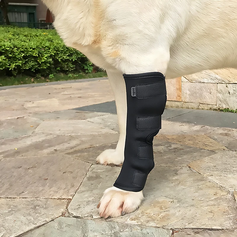 Pet Knee Pads Dog Support Brace For Leg Injury Recover Hock Joint Wrap Breathable Dog Legs Protector Support Health
Pet Knee Pads Dog Support Brace For Leg Injury Recover Hock Joint Wrap Breathable Dog Legs Protector Support Health