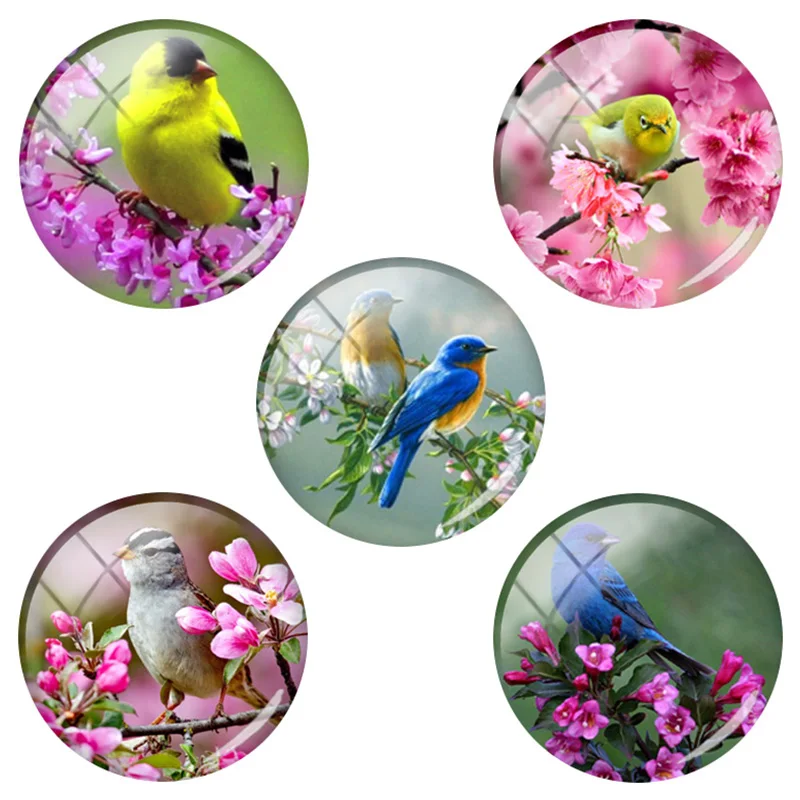 TAFREE Birds' Twitter Fragrance Of Flowers Decoration Image Beads Glass Crafts Round Flat Back Jewelry Findings 5pics/Lot BD84
TAFREE Birds' Twitter Fragrance Of Flowers Decoration Image Beads Glass Crafts Round Flat Back Jewelry Findings 5pics/Lot BD84