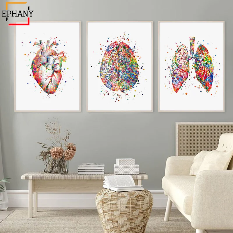 Watercolor Anatomy Art Clinic Decor Medical Art Anatomical Heart Brain Lungs Print Doctor Office Decoration Med Student Gift 
Watercolor Anatomy Art Clinic Decor Medical Art Anatomical Heart Brain Lungs Print Doctor Office Decoration Med Student Gift