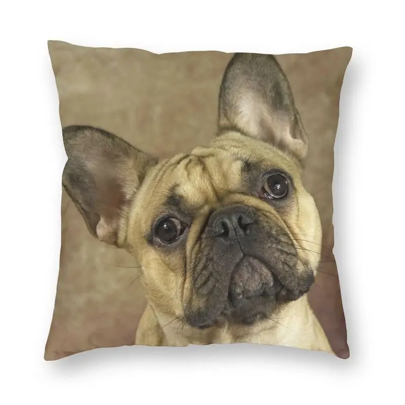 Наволочка с принтом лица французского бульдога, наволочка с принтом, наволочка с изображением французской собаки для влюбленных, модная на...
Наволочка с принтом лица французского бульдога, наволочка с принтом, наволочка с изображением французской собаки для влюбленных, модная на...