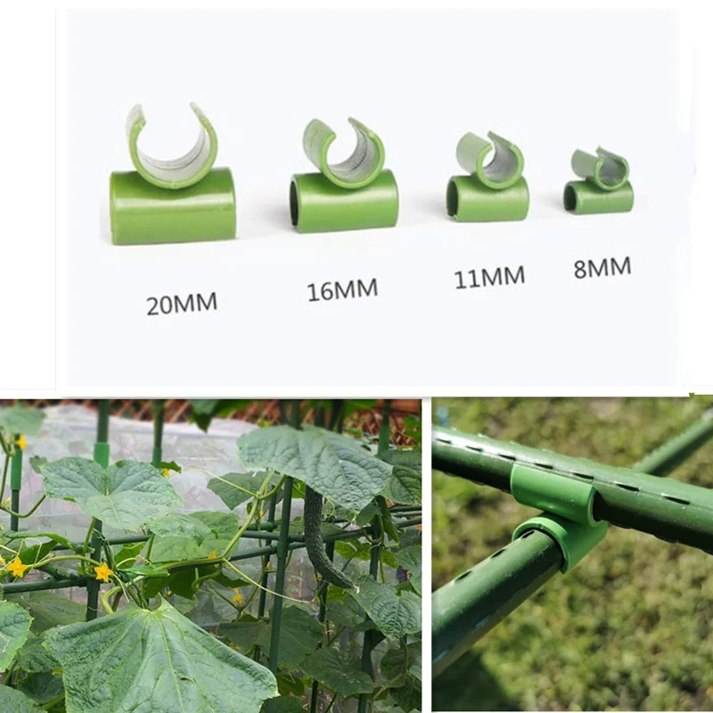12Pcs/Packs Plant Support Awning Pillar Garden Quick Set Up Bamboo Cane Flexi Balls Fruit Cage Netting Connectors Fixed Buckle
12Pcs/Packs Plant Support Awning Pillar Garden Quick Set Up Bamboo Cane Flexi Balls Fruit Cage Netting Connectors Fixed Buckle