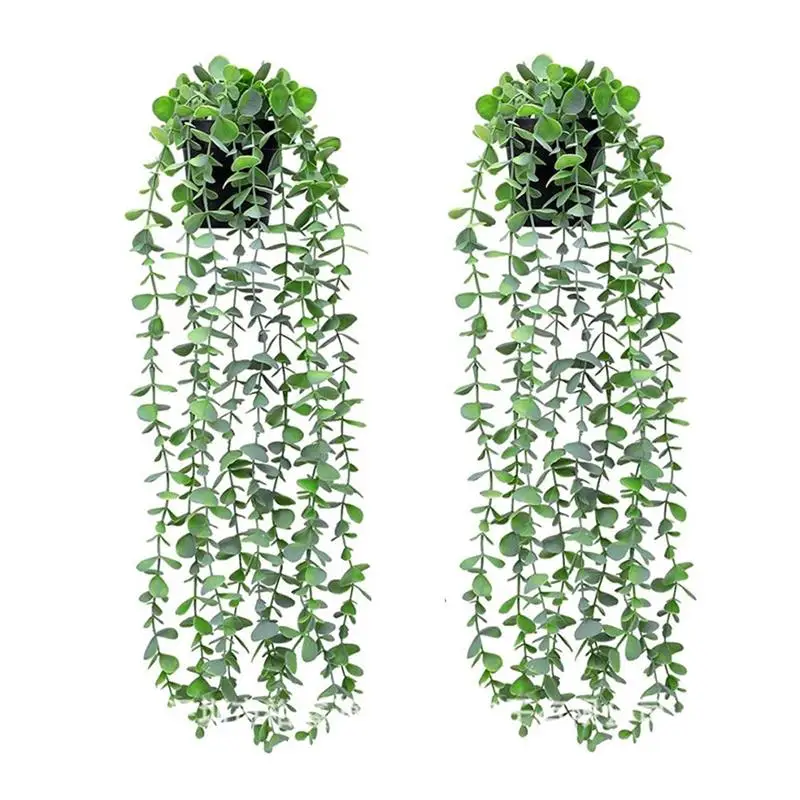 2PCS Artificial Potted Plants Fake Hanging Eucalyptus Plants Greenery Vines for Indoor Outdoor Decor
2PCS Artificial Potted Plants Fake Hanging Eucalyptus Plants Greenery Vines for Indoor Outdoor Decor