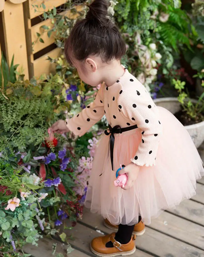 Cute Newborn Kids Baby Girl Dress Autumn Long Sleeve Knit Dress Sashes Dot Princess Lace Tulle Tutu Dresses
Cute Newborn Kids Baby Girl Dress Autumn Long Sleeve Knit Dress Sashes Dot Princess Lace Tulle Tutu Dresses