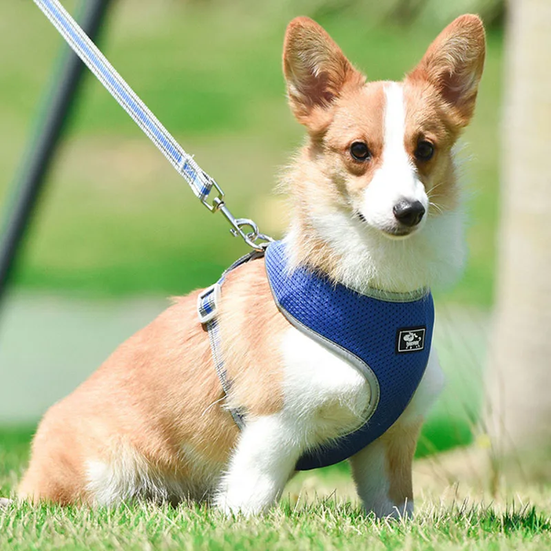 Dog Harness Reflective Vest Adjustable Soft Breathable Nylon Mesh Vests Harnesses for Dogs Puppy Collar Cat Pet Dog Chest Strap
Dog Harness Reflective Vest Adjustable Soft Breathable Nylon Mesh Vests Harnesses for Dogs Puppy Collar Cat Pet Dog Chest Strap