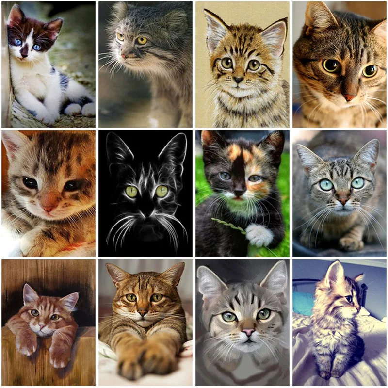 DIY Cat 5D Diamond Painting Full Square Drill Mosaic Animal Diamond Embroidery Cross Stitch Kits Resin Gift Wall Art Home Decor
DIY Cat 5D Diamond Painting Full Square Drill Mosaic Animal Diamond Embroidery Cross Stitch Kits Resin Gift Wall Art Home Decor