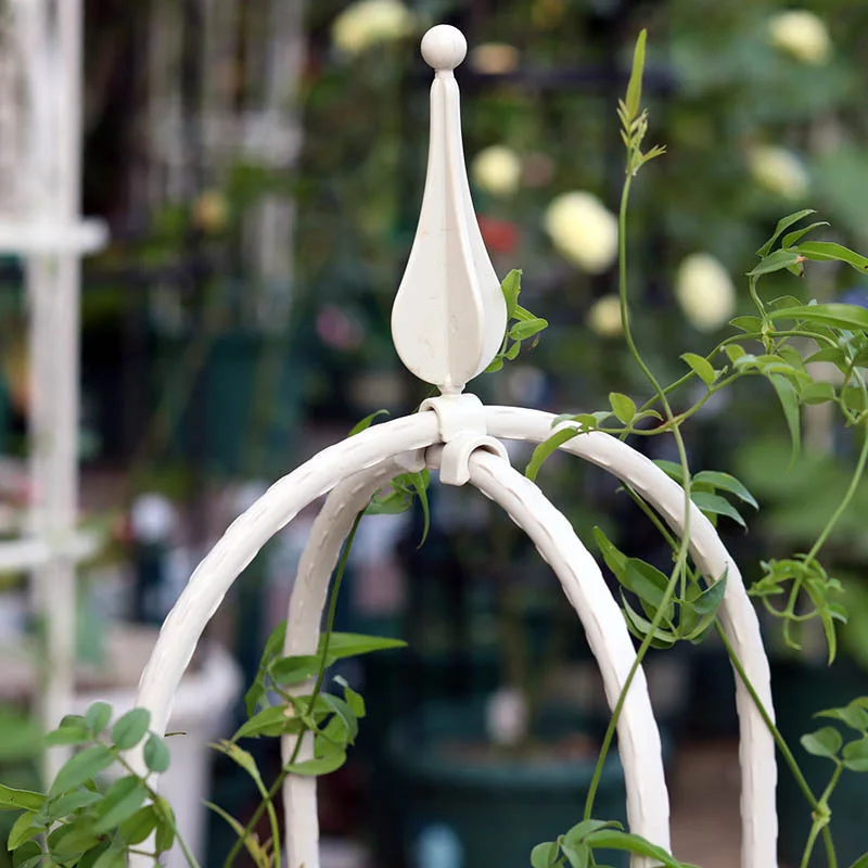 New Hot Plant Vines Climbing Stand Metal Flowerpot Bracket Lotus Rose Support Pole for Indoor Decoration
New Hot Plant Vines Climbing Stand Metal Flowerpot Bracket Lotus Rose Support Pole for Indoor Decoration