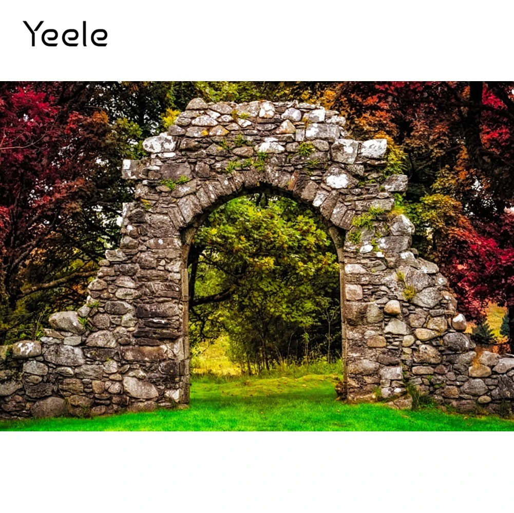 Осенний пейзаж Yeele, фон для фотосъемки, каменная АРКА, красные листья, фотографический фон для детского душа, фотография для фотостудии
Осенний пейзаж Yeele, фон для фотосъемки, каменная АРКА, красные листья, фотографический фон для детского душа, фотография для фотостудии