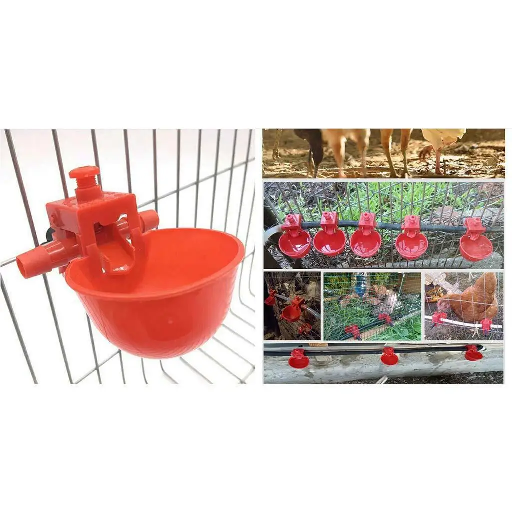 20Pack Automatic Quail Poultry Water Drinking Cups Chickens Hens Plastic Drinker
20Pack Automatic Quail Poultry Water Drinking Cups Chickens Hens Plastic Drinker