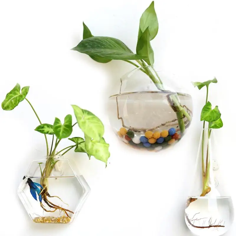 Creative Hanging Glass Planter Vase Terrarium Container Garden Wall Decor Globe Shape Clear Flower Planter Pots Wall Fish Tank
Creative Hanging Glass Planter Vase Terrarium Container Garden Wall Decor Globe Shape Clear Flower Planter Pots Wall Fish Tank