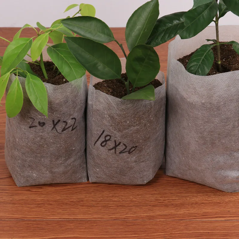 Different Sizes Biodegradable Non-woven Nursery Bags Plant Grow Bags Fabric Seedling Pots Eco-Friendly Aeration Planting
Different Sizes Biodegradable Non-woven Nursery Bags Plant Grow Bags Fabric Seedling Pots Eco-Friendly Aeration Planting