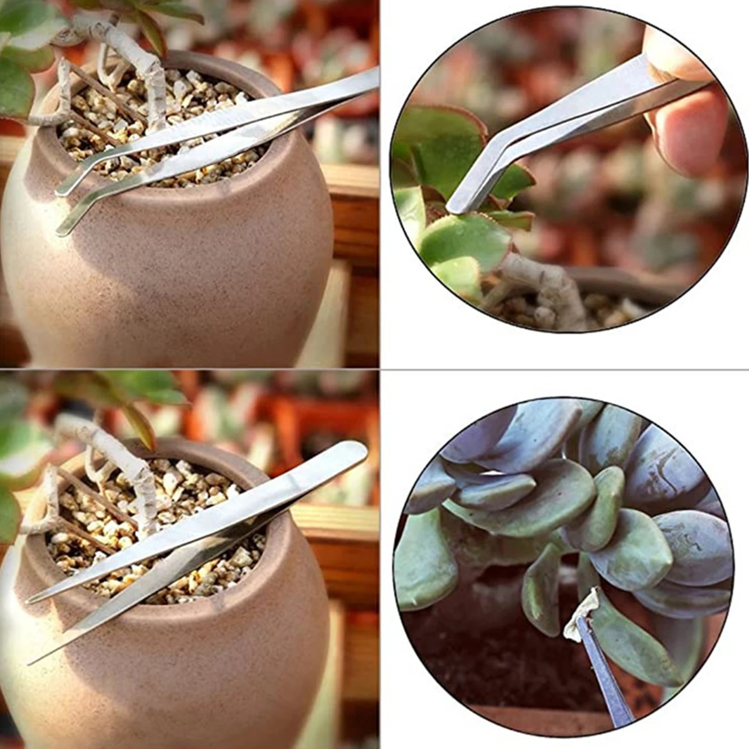 Mini Gardening Planting Tools Potted Plants Shovel Rake Spade for Flowers Potted Plant Bonsai Succulent Transplanting 15pcs/Set
Mini Gardening Planting Tools Potted Plants Shovel Rake Spade for Flowers Potted Plant Bonsai Succulent Transplanting 15pcs/Set