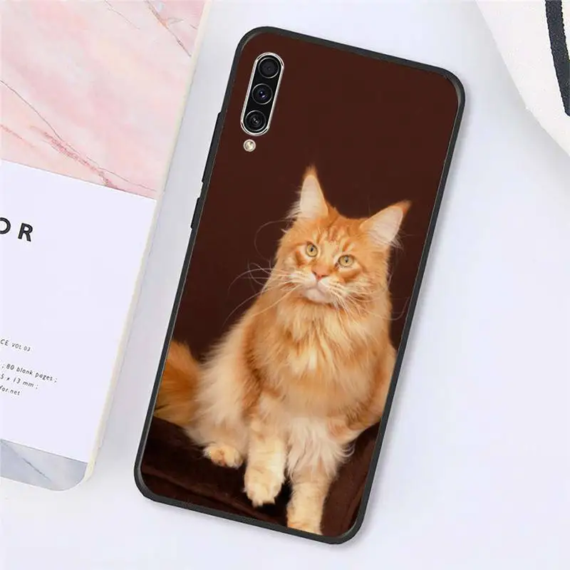 Cute animal pet maine coon cat Phone Case For Samsung galaxy A S note 10 7 8 9 20 30 31 40 50 51 70 71 21 s ultra plus
Cute animal pet maine coon cat Phone Case For Samsung galaxy A S note 10 7 8 9 20 30 31 40 50 51 70 71 21 s ultra plus