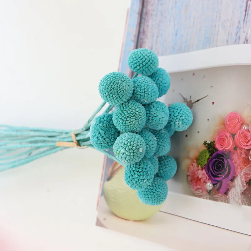 20 Pcs Colorful Ball Preserved Flower Diy Home Decoration Bouquet Photo Props Real Natural Dried Flowers Party Flower Bouquet
20 Pcs Colorful Ball Preserved Flower Diy Home Decoration Bouquet Photo Props Real Natural Dried Flowers Party Flower Bouquet